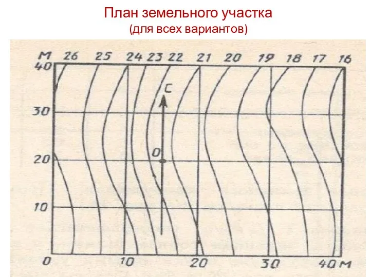 План земельного участка (для всех вариантов)