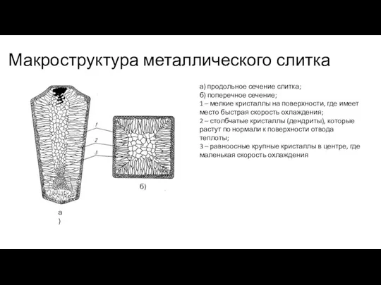 Макроструктура металлического слитка а) продольное сечение слитка; б) поперечное сечение; 1