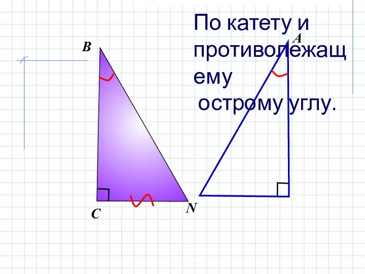 В С N По катету и противолежащему острому углу.