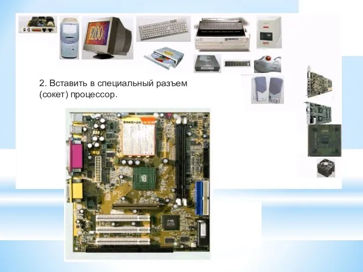 2. Вставить в специальный разъем (сокет) процессор.