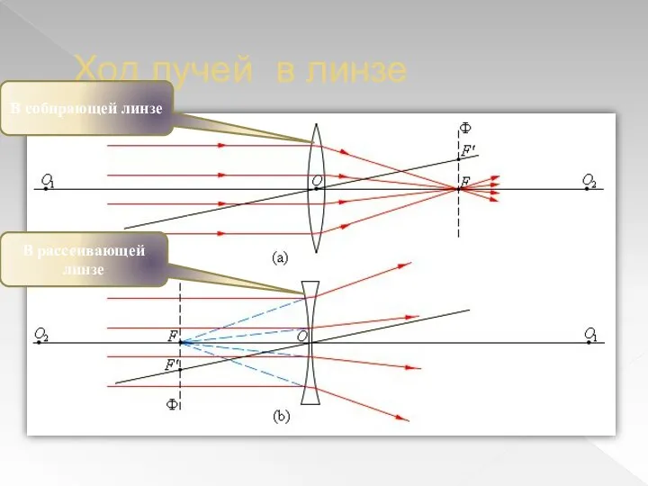 Ход лучей в линзе В собирающей линзе В рассеивающей линзе