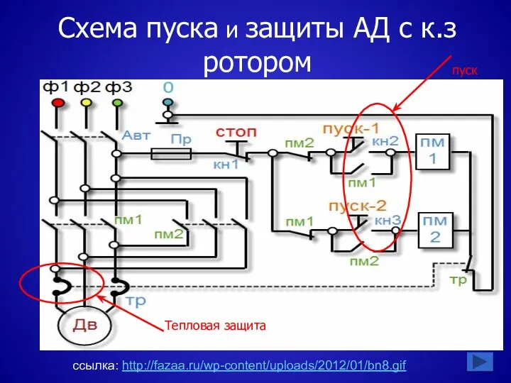 ссылка: http://fazaa.ru/wp-content/uploads/2012/01/bn8.gif Схема пуска и защиты АД с к.з ротором Тепловая защита пуск