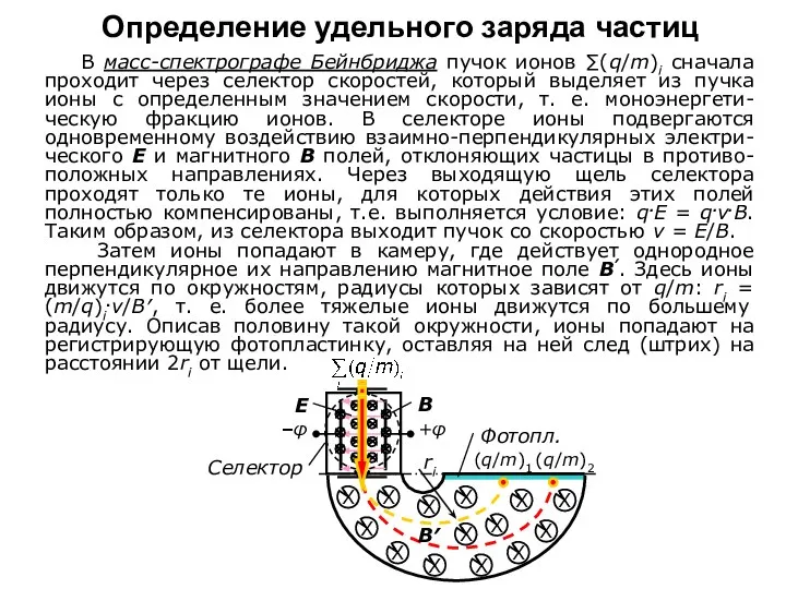 Определение удельного заряда частиц В масс-спектрографе Бейнбриджа пучок ионов ∑(q/m)i сначала