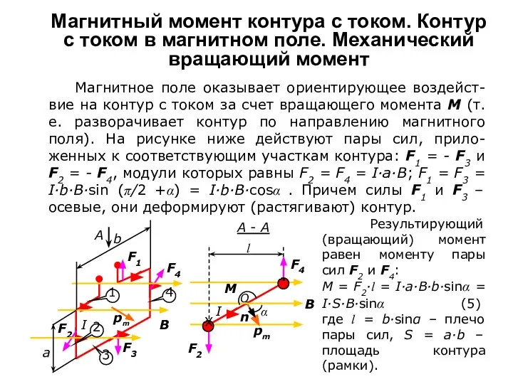 Магнитный момент контура с током. Контур с током в магнитном поле.