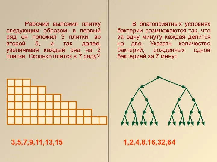 Рабочий выложил плитку следующим образом: в первый ряд он положил 3