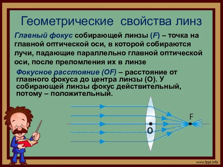 Геометрические свойства линз Главный фокус собирающей линзы (F) – точка на