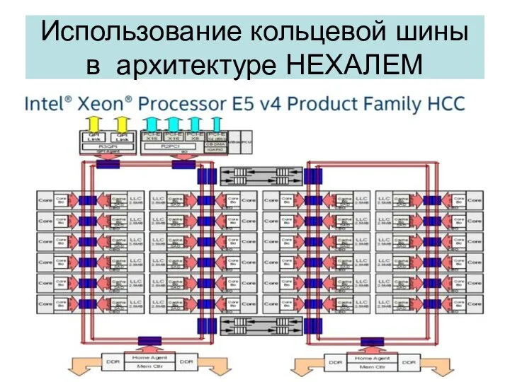 Использование кольцевой шины в архитектуре НЕХАЛЕМ