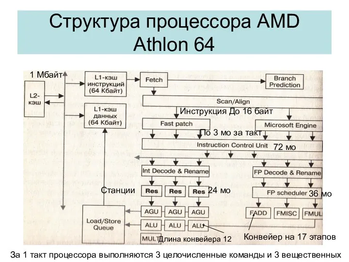 Структура процессора AMD Athlon 64 1 Мбайт Инструкция До 16 байт