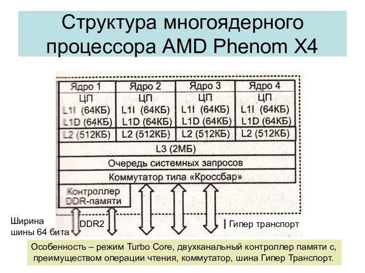 Структура многоядерного процессора AMD Phenom X4 DDR2 Ширина шины 64 бита