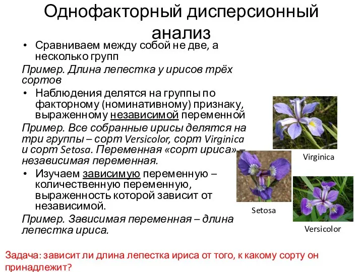 Однофакторный дисперсионный анализ Сравниваем между собой не две, а несколько групп