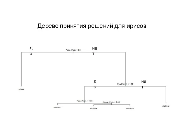 Дерево принятия решений для ирисов да нет да нет