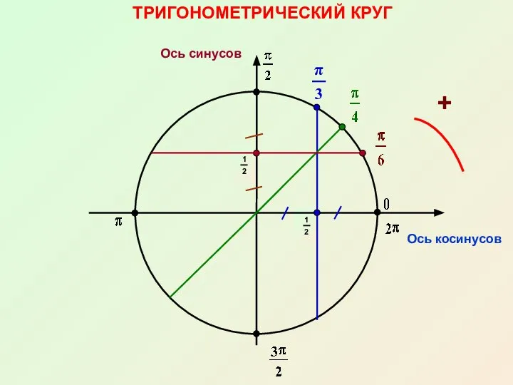 ТРИГОНОМЕТРИЧЕСКИЙ КРУГ Ось косинусов Ось синусов +