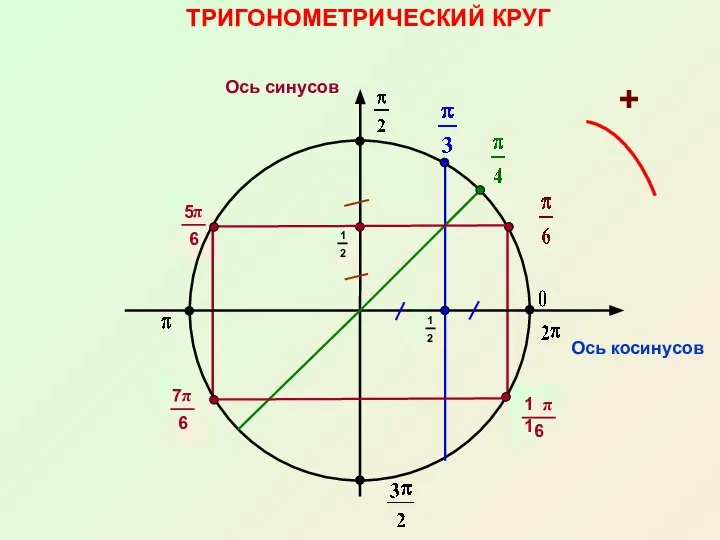 ТРИГОНОМЕТРИЧЕСКИЙ КРУГ Ось косинусов Ось синусов +