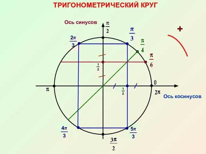 ТРИГОНОМЕТРИЧЕСКИЙ КРУГ Ось косинусов Ось синусов +