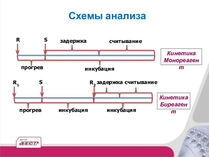 инкубация прогрев инкубация прогрев инкубация считывание задержка R S считывание задержка