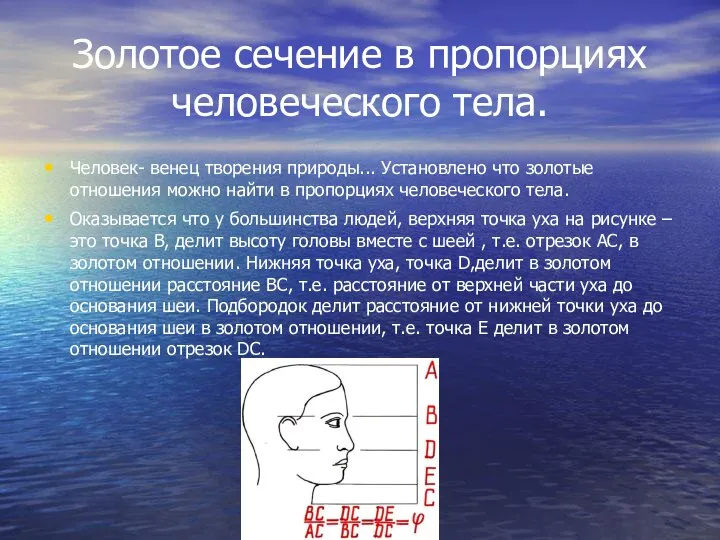 Золотое сечение в пропорциях человеческого тела. Человек- венец творения природы... Установлено