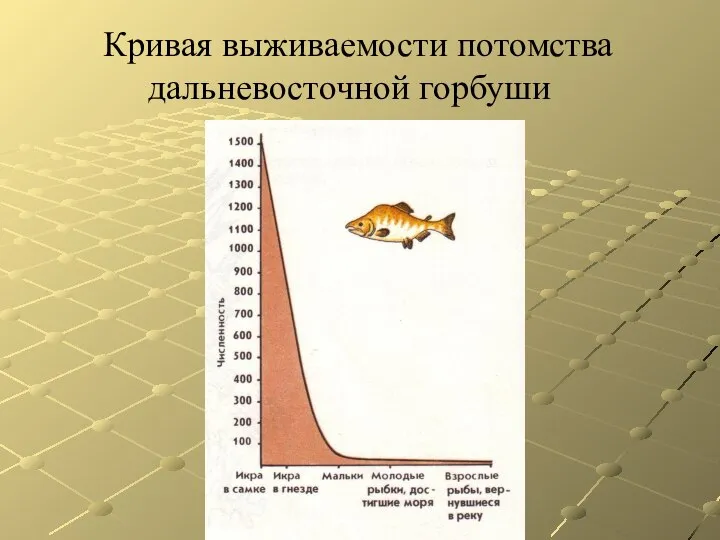 Кривая выживаемости потомства дальневосточной горбуши