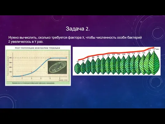 Задача 2. Нужно вычислить, сколько требуется фактора X, чтобы численность особи