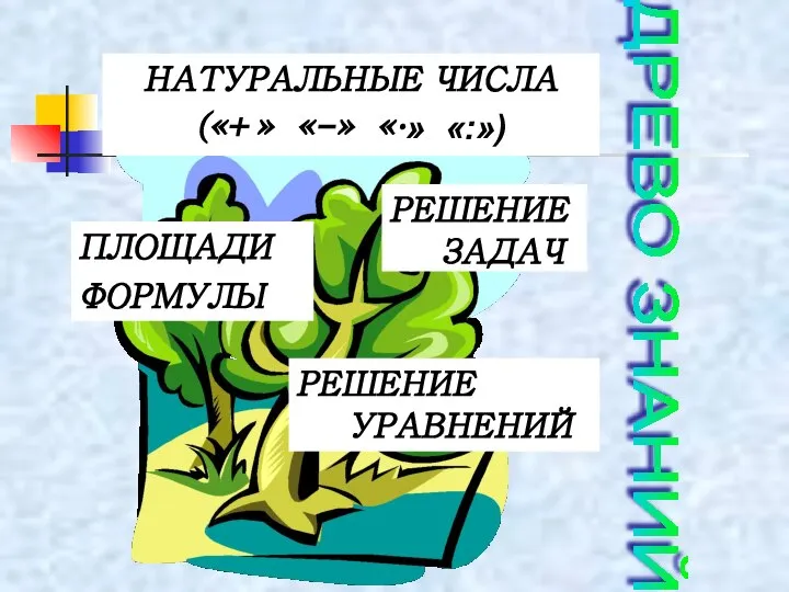 ДРЕВО ЗНАНИЙ НАТУРАЛЬНЫЕ ЧИСЛА («+» «-» «·» «:») ПЛОЩАДИ ФОРМУЛЫ РЕШЕНИЕЗАДАЧ РЕШЕНИЕ УРАВНЕНИЙ