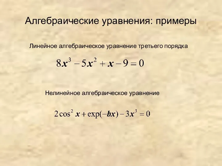 Алгебраические уравнения: примеры Линейное алгебраическое уравнение третьего порядка Нелинейное алгебраическое уравнение