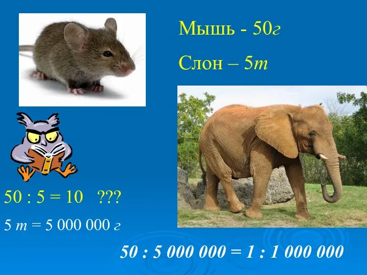 Мышь - 50г Слон – 5т 50 : 5 = 10