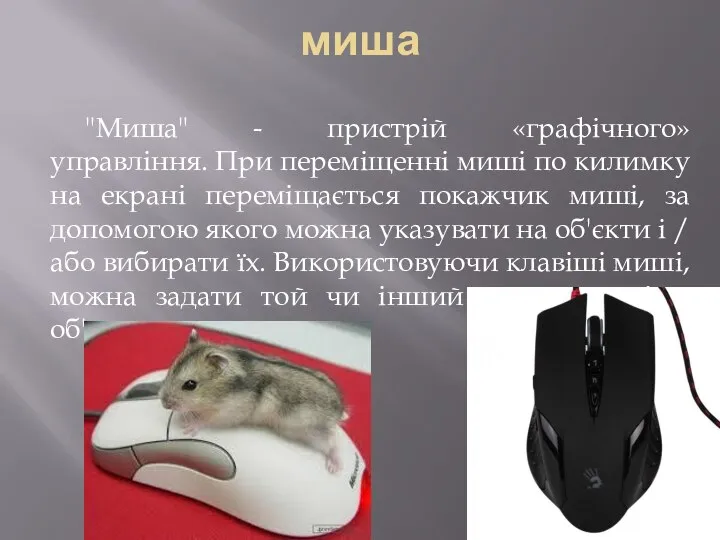 миша "Миша" - пристрій «графічного» управління. При переміщенні миші по килимку