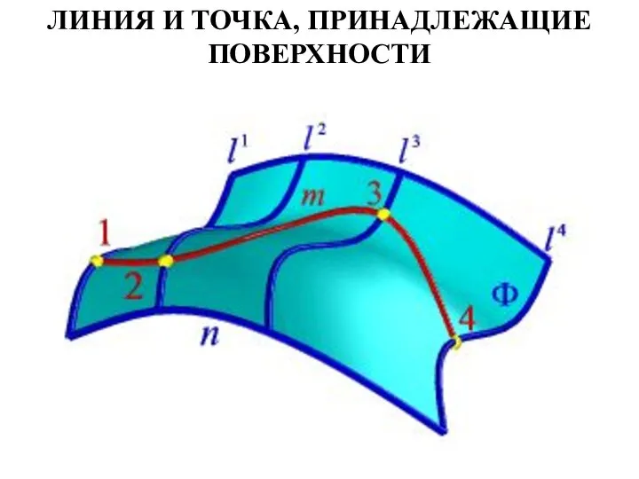 ЛИНИЯ И ТОЧКА, ПРИНАДЛЕЖАЩИЕ ПОВЕРХНОСТИ