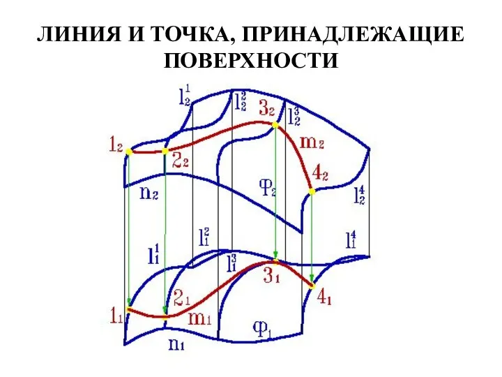 ЛИНИЯ И ТОЧКА, ПРИНАДЛЕЖАЩИЕ ПОВЕРХНОСТИ