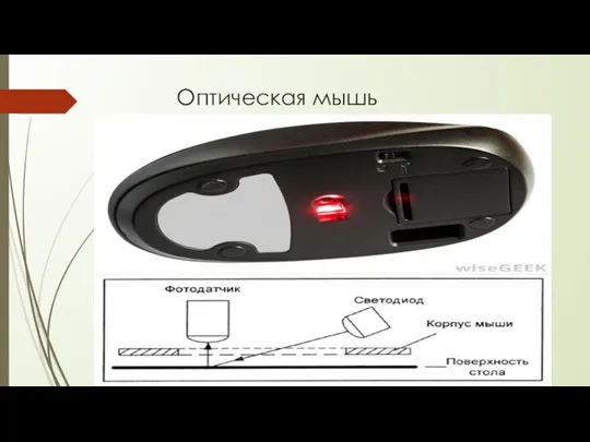 Оптическая мышь