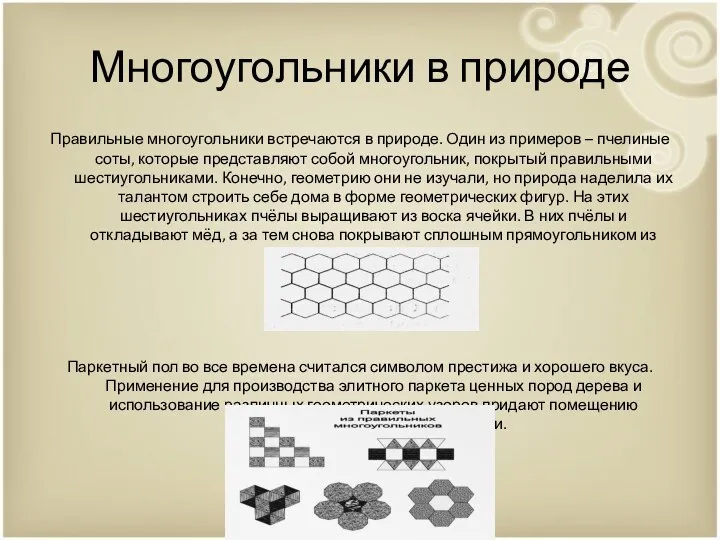 Многоугольники в природе Правильные многоугольники встречаются в природе. Один из примеров