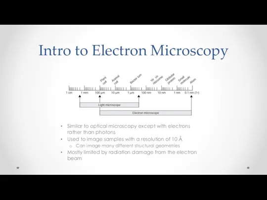 Intro to Electron Microscopy Similar to optical microscopy except with electrons