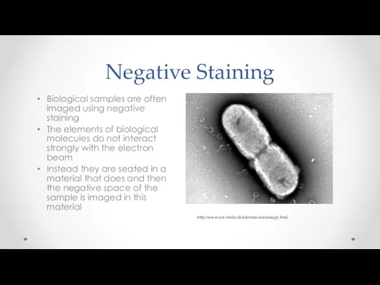 Negative Staining Biological samples are often imaged using negative staining The