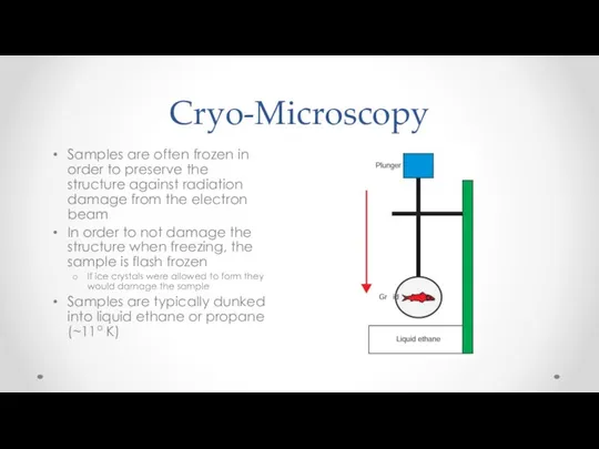 Cryo-Microscopy Samples are often frozen in order to preserve the structure