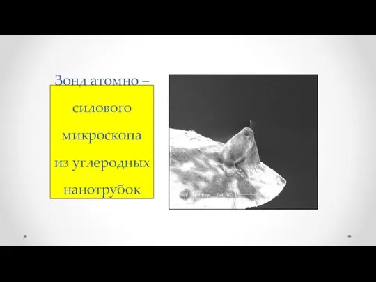 Зонд атомно – силового микроскопа из углеродных нанотрубок