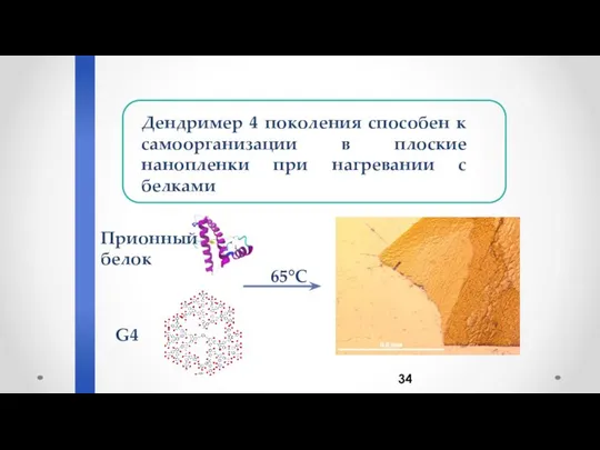 Дендример 4 поколения способен к самоорганизации в плоские нанопленки при нагревании