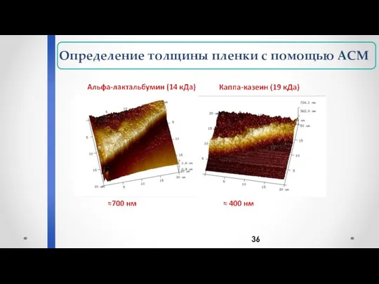 Определение толщины пленки с помощью АСМ