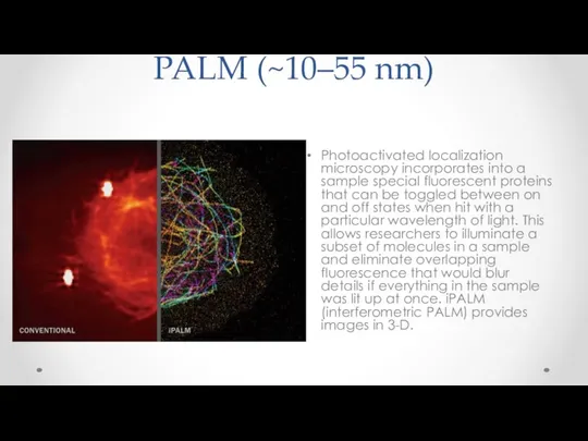 PALM (~10–55 nm) Photoactivated localization microscopy incorporates into a sample special