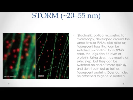 STORM (~20–55 nm) Stochastic optical reconstruction microscopy, developed around the same