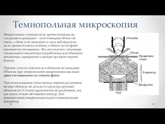 Темнопольная микроскопия Микроскопия в темном поле зрения основана на следующем принципе