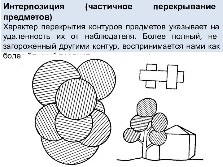 Интерпозиция (частичное перекрывание предметов) Характер перекрытия контуров предметов указывает на удаленность