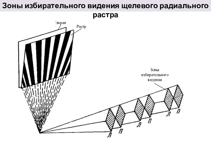 Зоны избирательного видения щелевого радиального растра