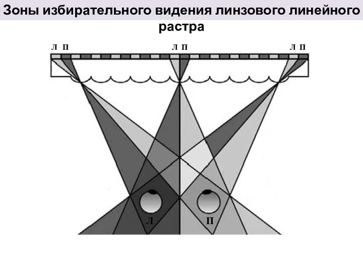Зоны избирательного видения линзового линейного растра П Л П Л П Л П Л