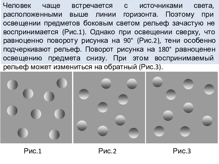 Человек чаще встречается с источниками света, расположенными выше линии горизонта. Поэтому