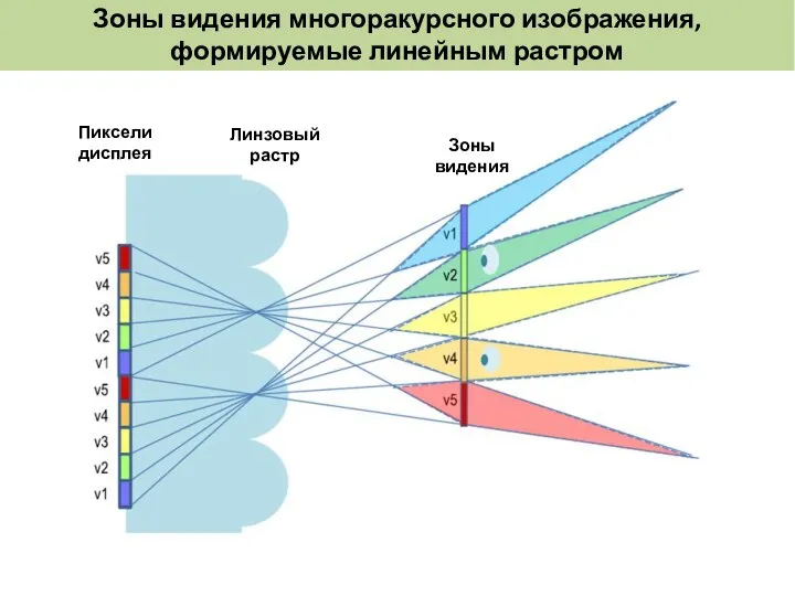 Зоны видения многоракурсного изображения, формируемые линейным растром