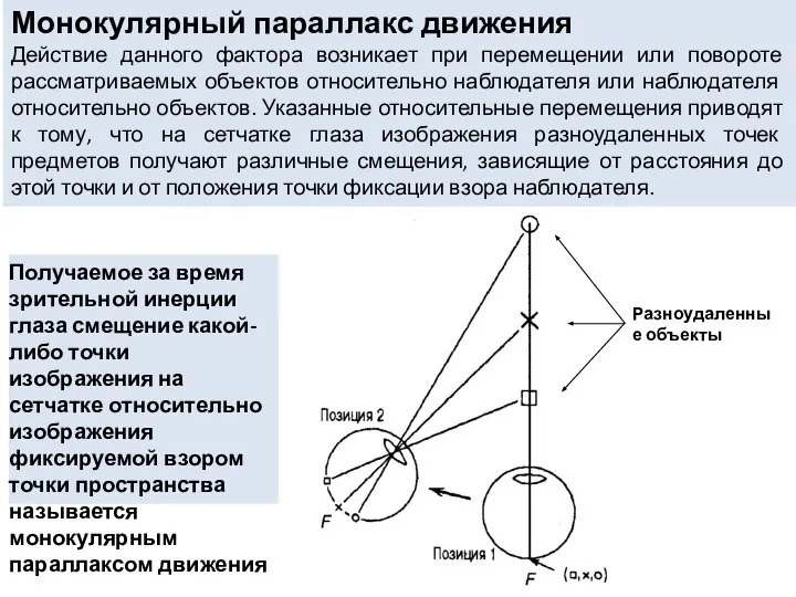 Монокулярный параллакс движения Действие данного фактора возникает при перемещении или повороте