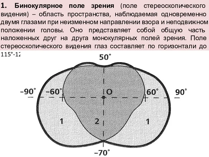 1. Бинокулярное поле зрения (поле стереоскопического видения) – область пространства, наблюдаемая