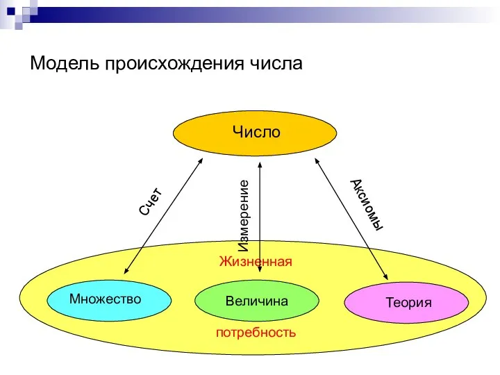 Модель происхождения числа Счет Измерение Аксиомы