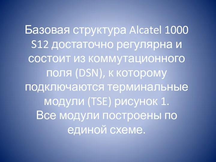 Базовая структура Alcatel 1000 S12 достаточно регулярна и состоит из коммутационного