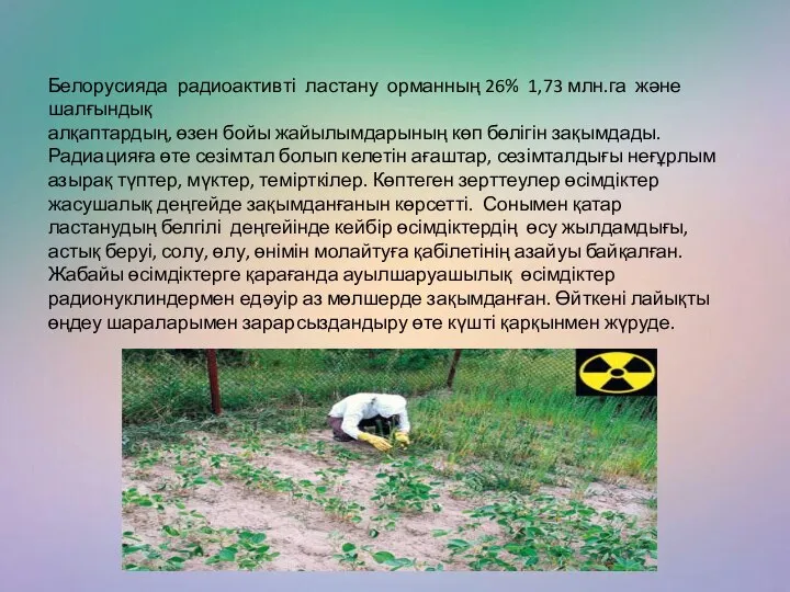 Белорусияда радиоактивті ластану орманның 26% 1,73 млн.га және шалғындық алқаптардың, өзен
