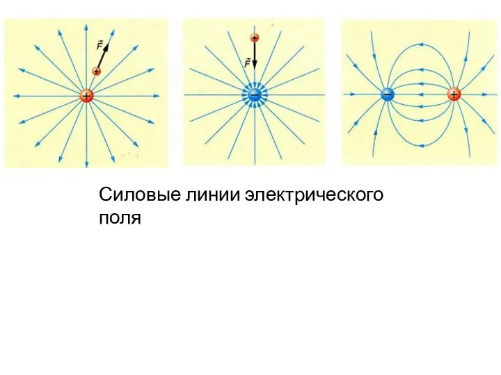 Силовые линии электрического поля